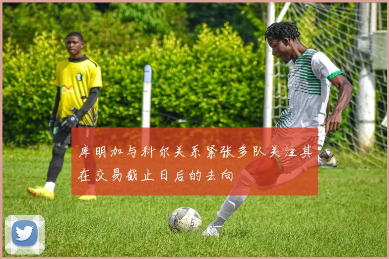 库明加与科尔关系紧张多队关注其在交易截止日后的去向