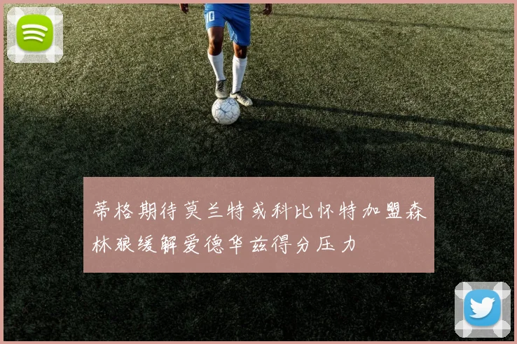 蒂格期待莫兰特或科比怀特加盟森林狼缓解爱德华兹得分压力